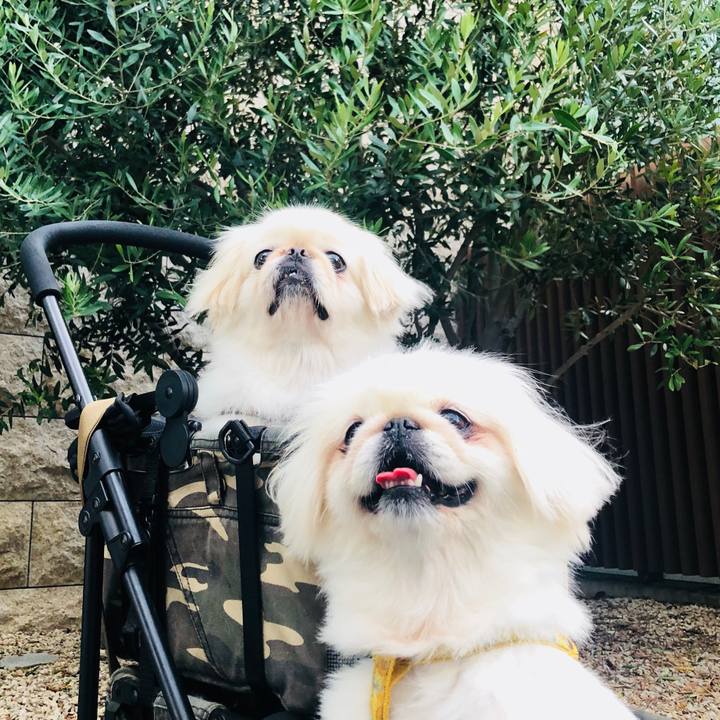 Cbbb3304 c58c 4a28 aaf7 9cede2bc0830 1598915224688