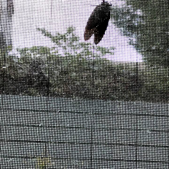 Cbbb460b f69a 4fda 9148 0cc9407c6040 1535081902523