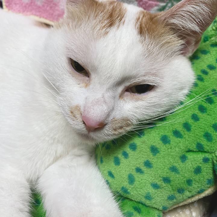 Cbbb5f67 c3f9 42c1 b6dd 8e48fe1a3f2d 1596716046473