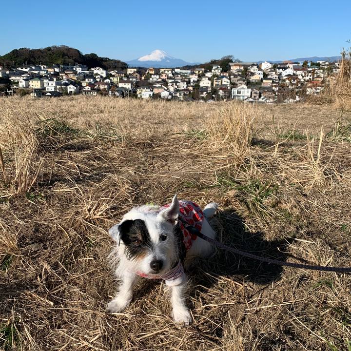 Cbbb6b9c 9bfb 49e1 a1b8 b4154a154a17 1672795678384