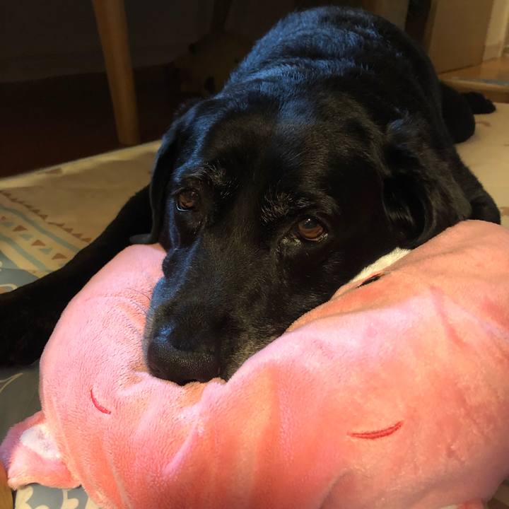 Cbbb71e7 9232 4db2 933c cedc61ec78bf 1565698231752