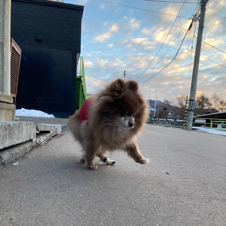 Cbbb7e68 d342 4614 9ed9 df7bfc9a9fda 1736639448416