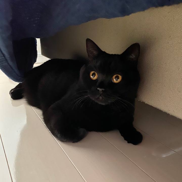 Cbbbb5cf a92b 43c5 8e53 9a707f79e770 1602645367051