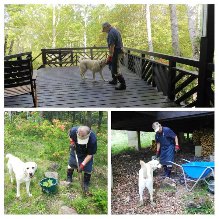 Cbbbdcde f7b3 4562 a524 fec0b2d07f7b 1528008474681