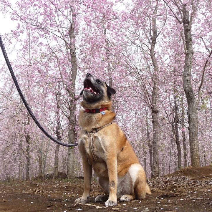 Cbbbee3d 75f9 45cc a8c4 f6e518fa0c0c 1616891208269