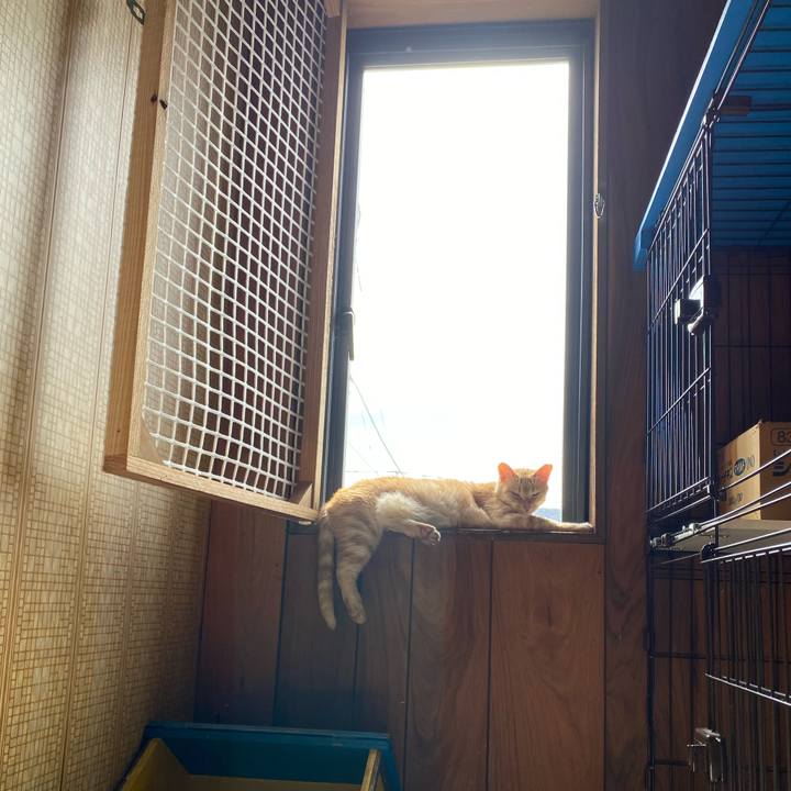 Cbbc1b32 5b33 40be a387 c5c8242cc75e 1731124470746