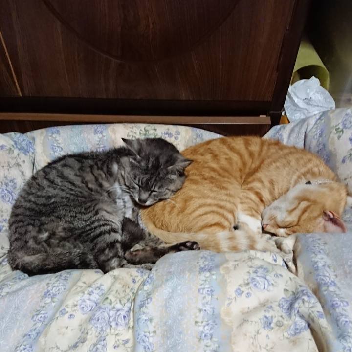 Cbbc3e48 07a9 48f8 a0f2 307e0a938936 1590581662097