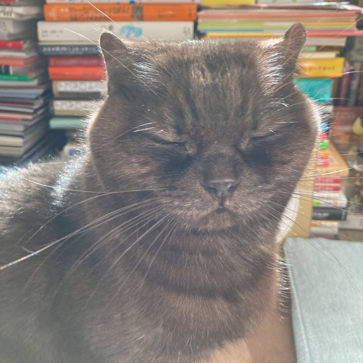 Cbbc7605 8268 4f07 b601 bf92dc6be2a3 1610167574772