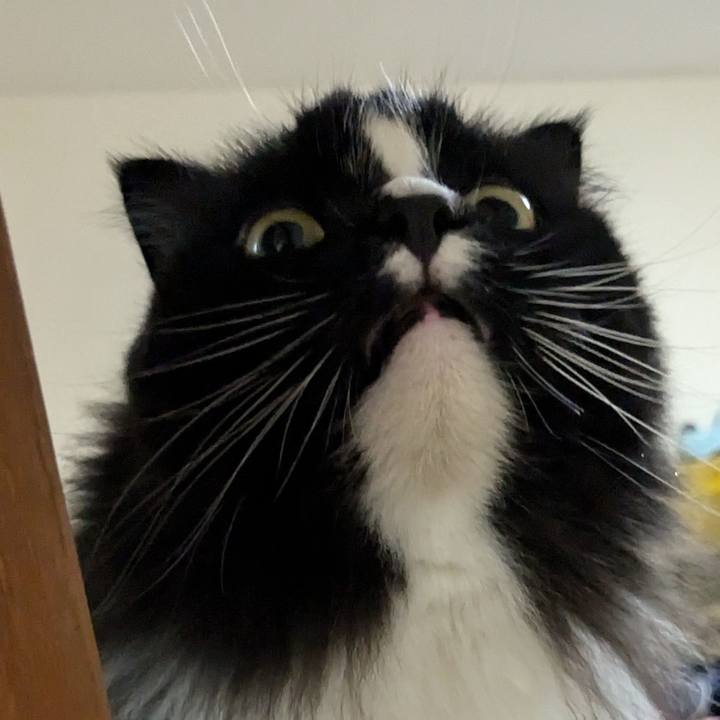 Cbbc8b08 a8d5 4787 9bbd f40f4b11cf93 1722075595081