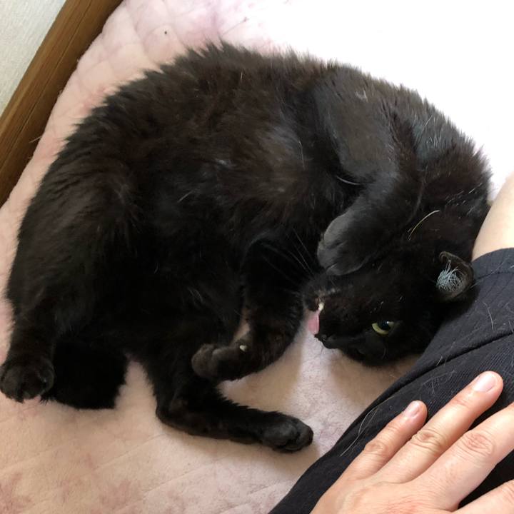 Cbbd06c8 64b1 440c 984a 2b04ac1e9494 1563581887696