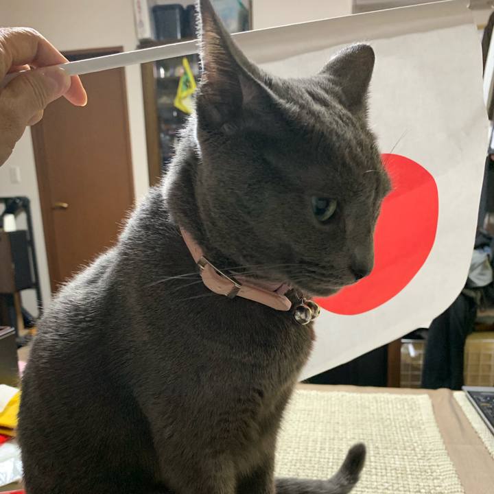 Cbbd1beb 9128 4f31 9973 a71cba36e15f 1574917197109