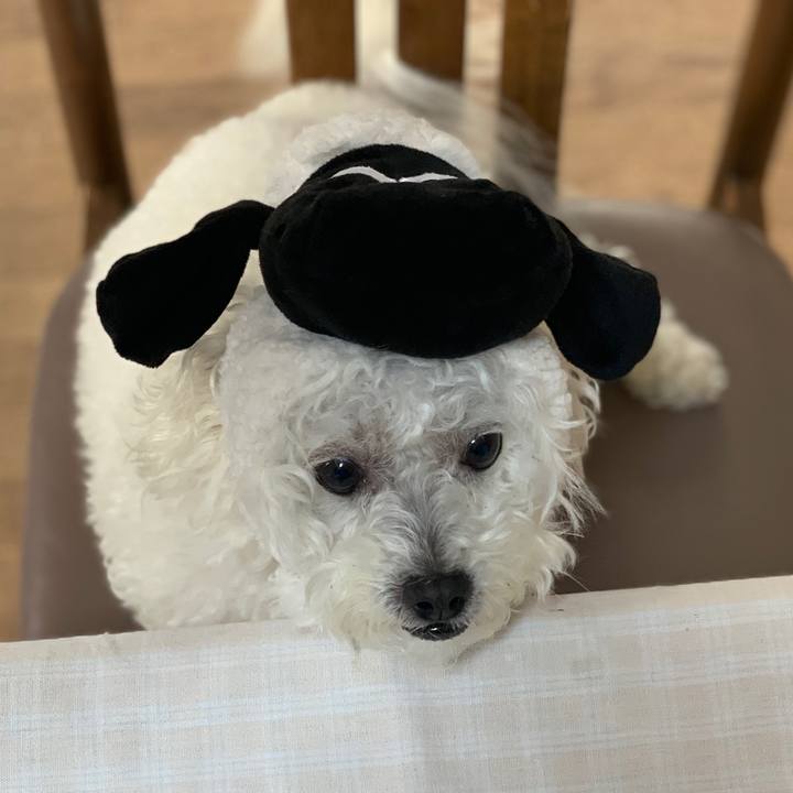 Cbbd2ed2 60f1 48a1 9ed3 351fc3fc3124 1549792491094