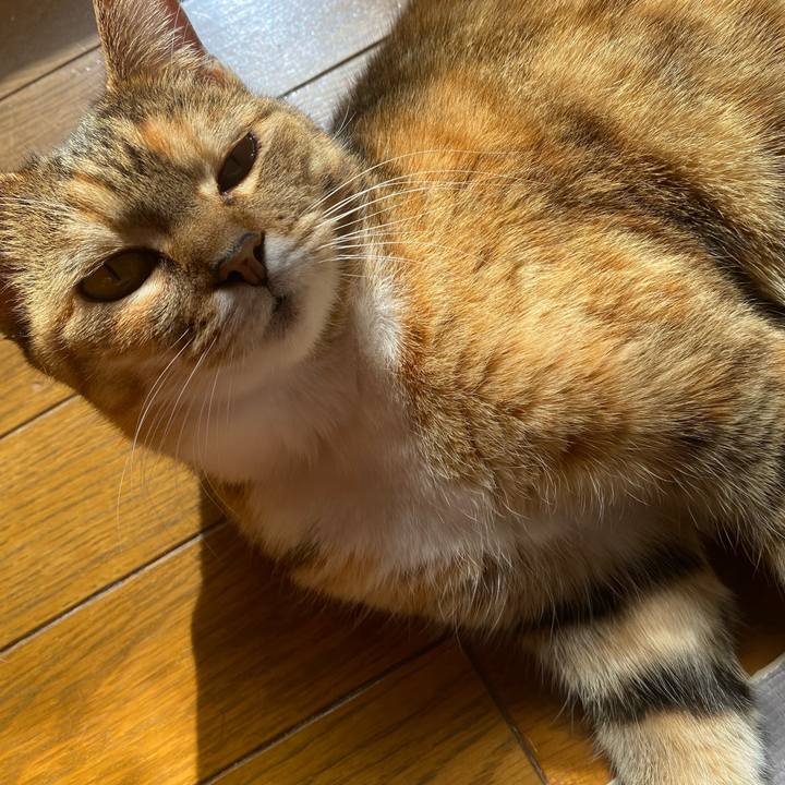 Cbbd31b1 969a 4b73 9320 8b8966f9a529 1644204030350