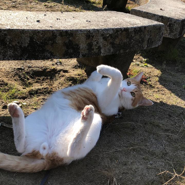 Cbbd33ae 96fc 4b91 9512 c9d6f03fb95f 1543305858240