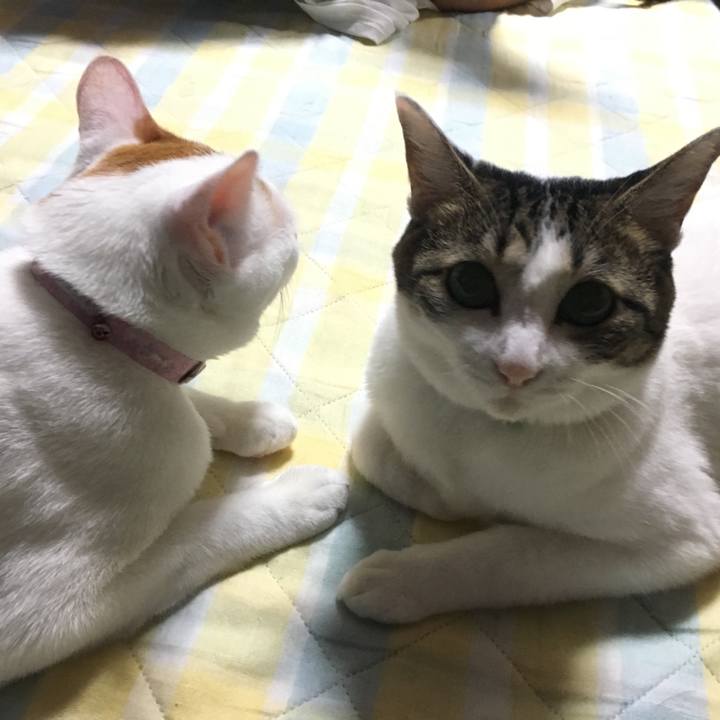 Cbbd3824 fc54 451e 9ce5 78d23d30dcb9 1536150247105