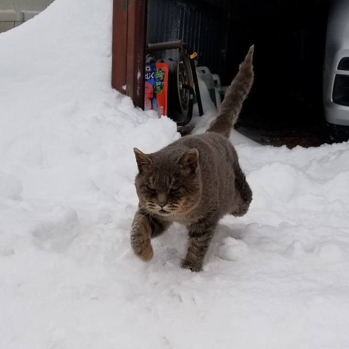 Cbbd5dd3 c6c2 4099 a41e e17e8fd4c972 1548373370958