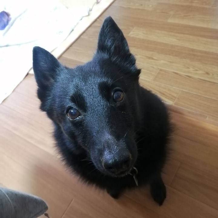 Cbbd6b91 d64e 4fc3 8a87 fc25fa6cb78c 1652736020390