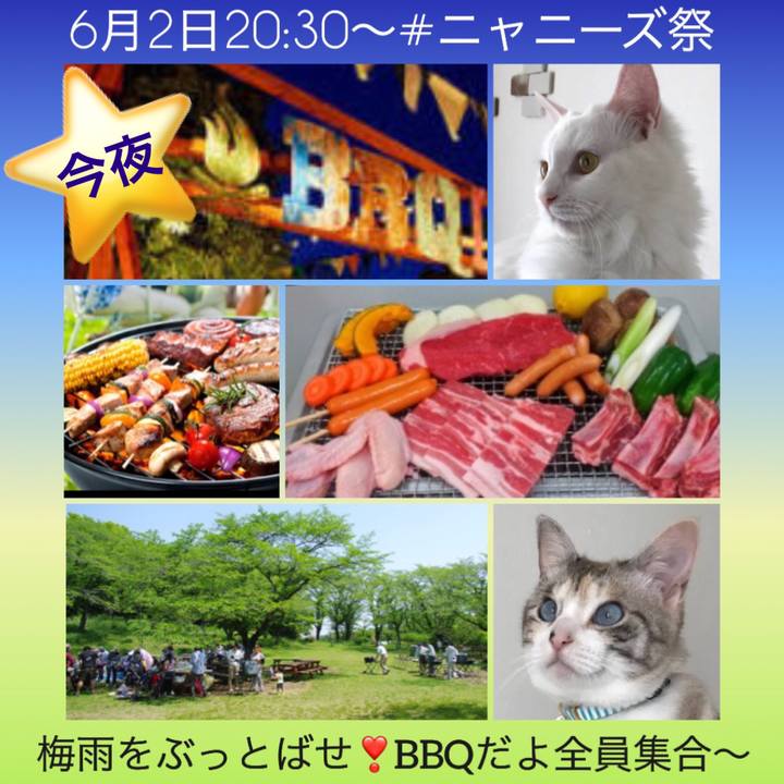 Cbbd8e3f 8460 4759 bf95 e8b2c5260508 1527895820069