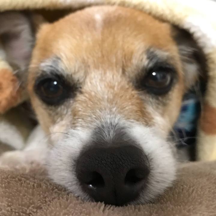 Cbbd98cd b161 4537 8502 e8db4219aa89 1548249328165