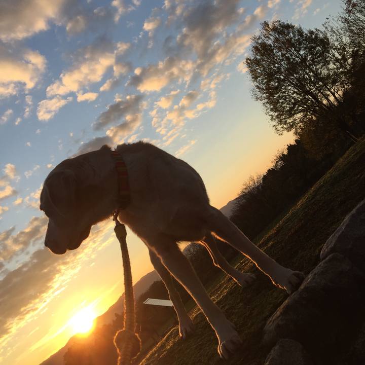 Cbbdb500 9892 4f1a 8f53 aee43e802c8c 1542325898162