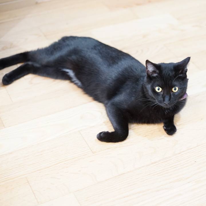 Cbbde77b 2fb2 44d5 9e07 c38e786eaf4b 1517899930717