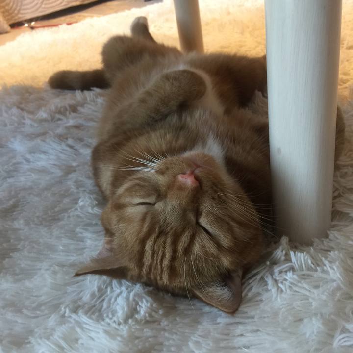 Cbbe0656 4bc9 4c85 a20b 98b6ec4ff26a 1531622372491