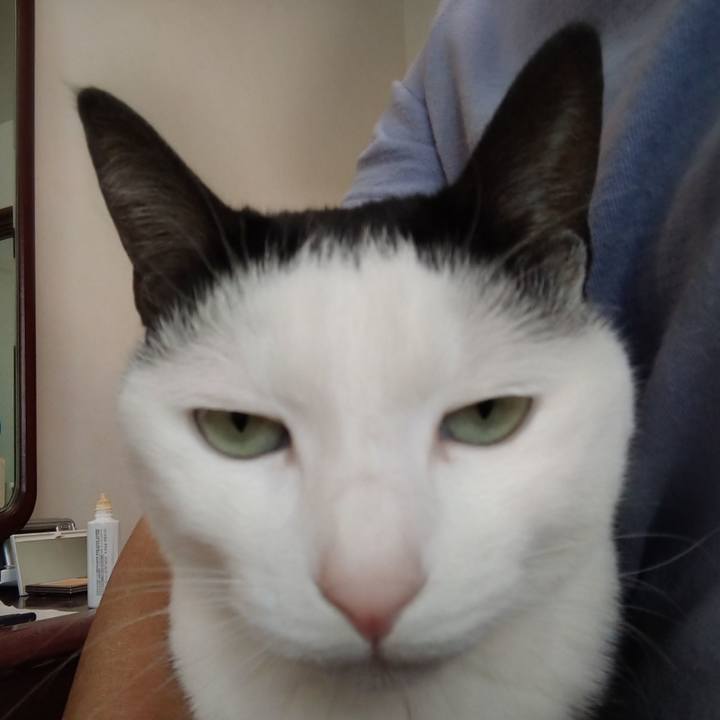 Cbbe1f0c 8620 4575 a071 e19325276c32 1588904774444