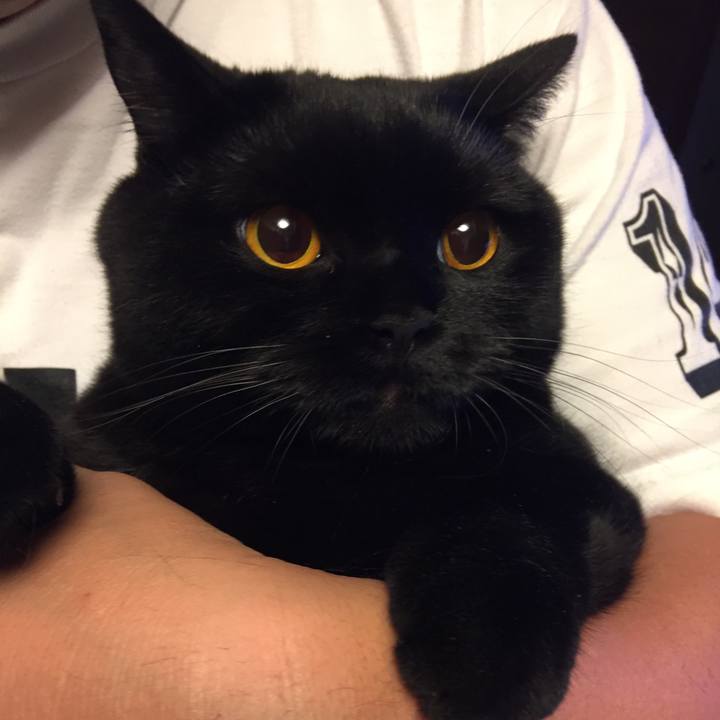 Cbbe2c12 3ecc 4c01 a156 82fad3133b38 1530103322887