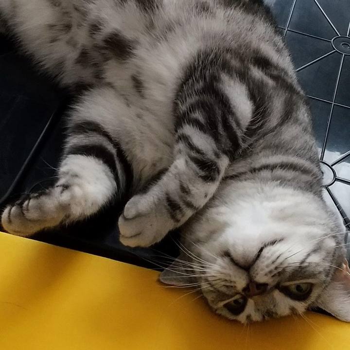 Cbbe6b93 4fde 4914 924d f8c72f01df1c 1692182841923