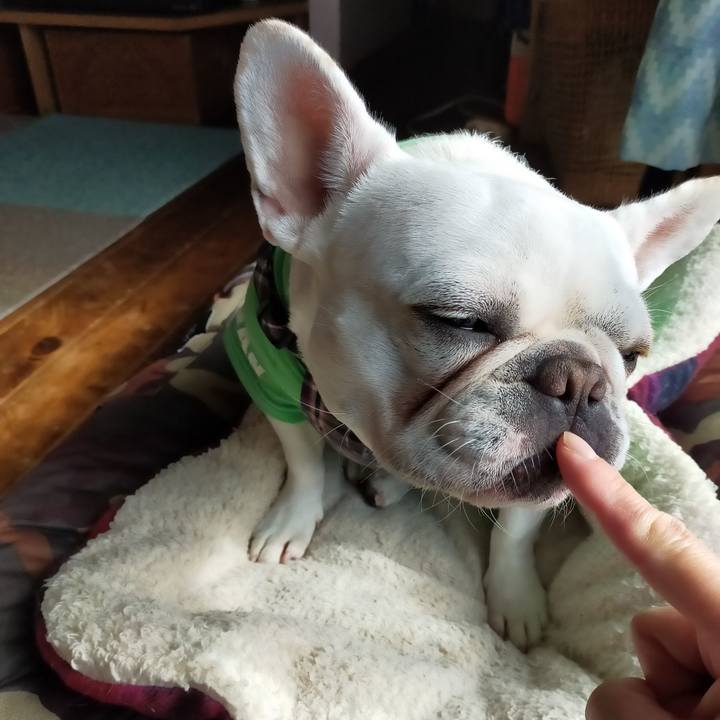 Cbbea41b 7c79 409b 9f04 ba58ec9c77fe 1637707109487