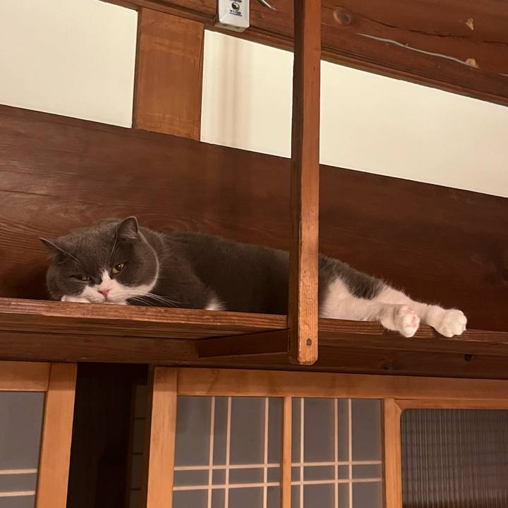 Cbbea49c 74d8 42e0 92a9 0934eaf2529f 1641086206018