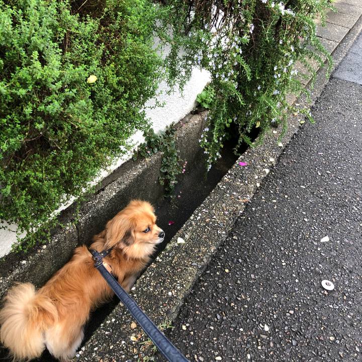 Cbbef104 4385 4d28 aa43 42e03b27f82a 1571703704551