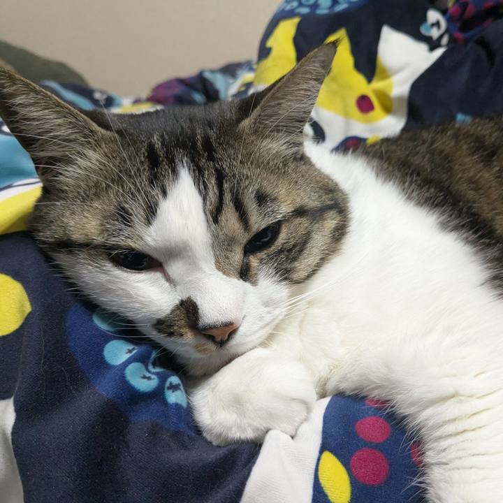 Cbbf3eeb 61c2 470a a4f4 2224fe3df987 1741779782955