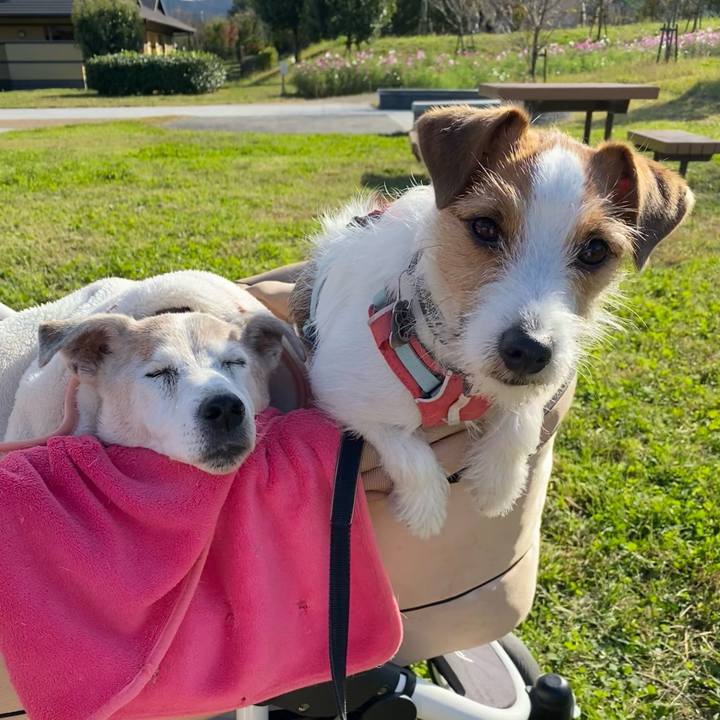 Cbbf950c a647 4e8f b7c8 15d0e3b293a1 1732358370647