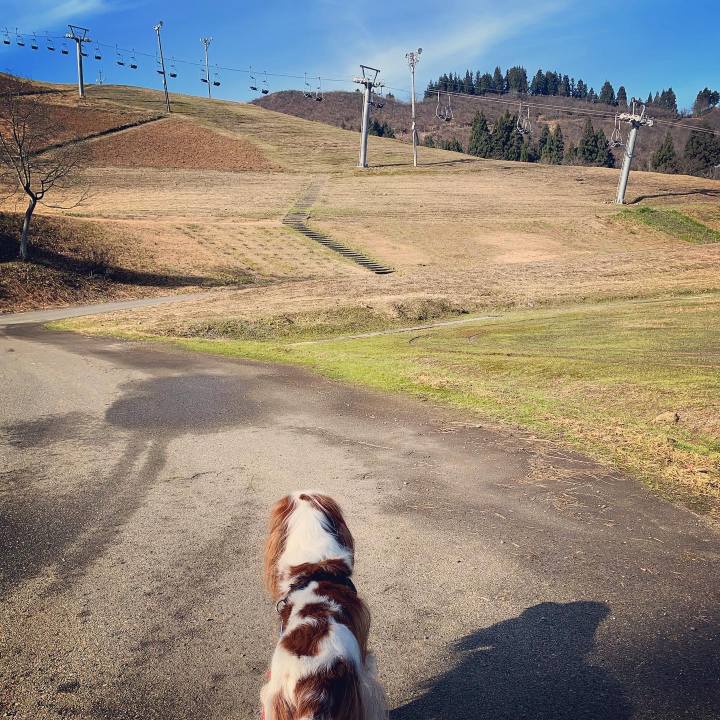 Cbbfc2ed f0b5 4b70 a752 696bdd6c33a8 1576897533973