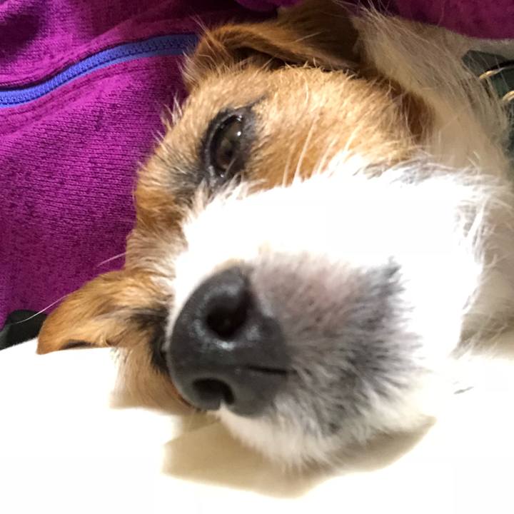 Cbbfda31 00b1 451d a9b1 2c4a01a7502e 1521361954822