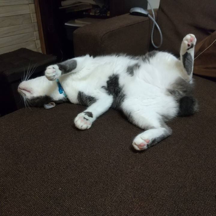 Cbc02243 5994 42e3 a733 60ad4247ea8c 1633681399134