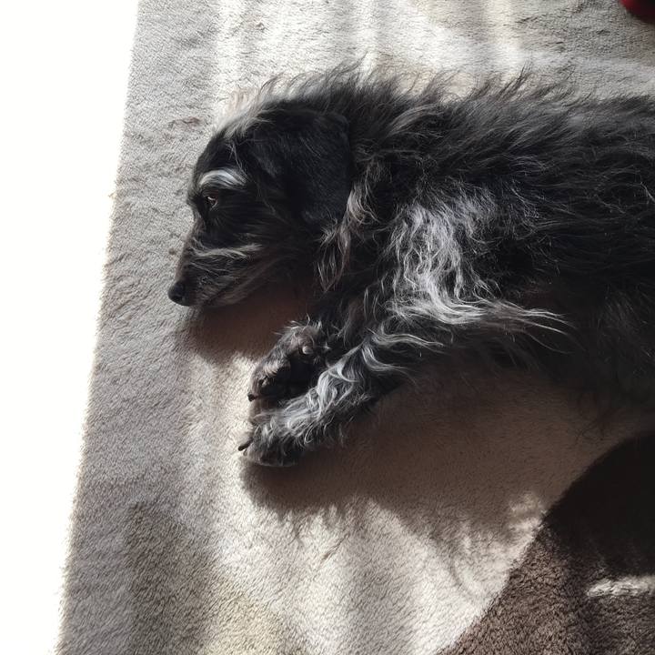 Cbc045a7 863e 4935 a370 d7f0f97a105e 1550617151860