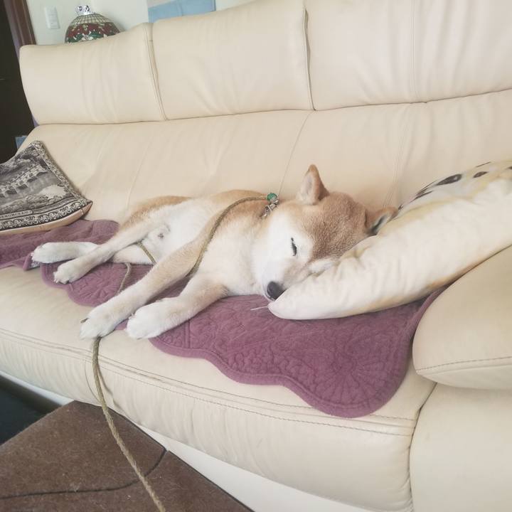 Cbc07399 c165 4393 9890 d0afcc229757 1693101943979