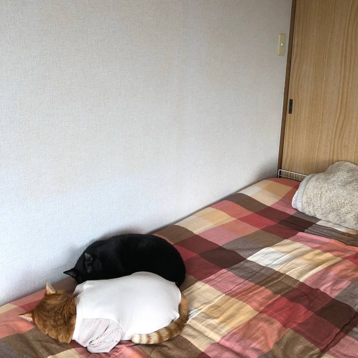 Cbc0908b 7b5d 4330 9164 64c7c161359f 1682722417388