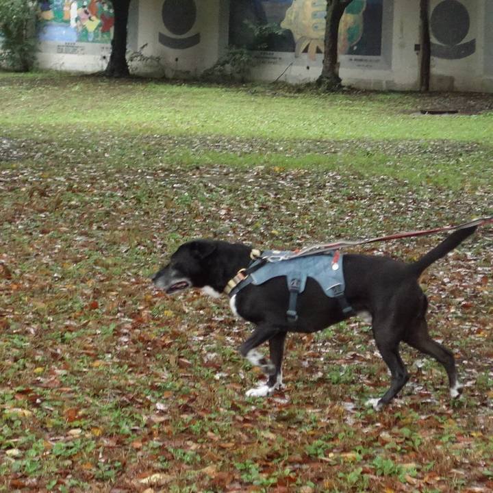 Cbc094a5 fbf5 44ba b523 5c0ea725b4dd 1730506680228