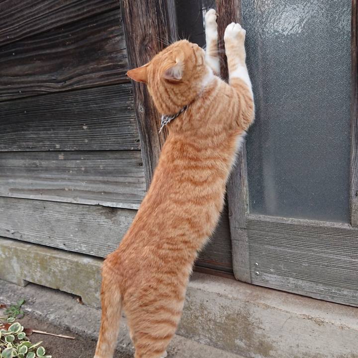 Cbc1356d c4e5 4ed2 88ae a4e676e0f0ff 1574493907983