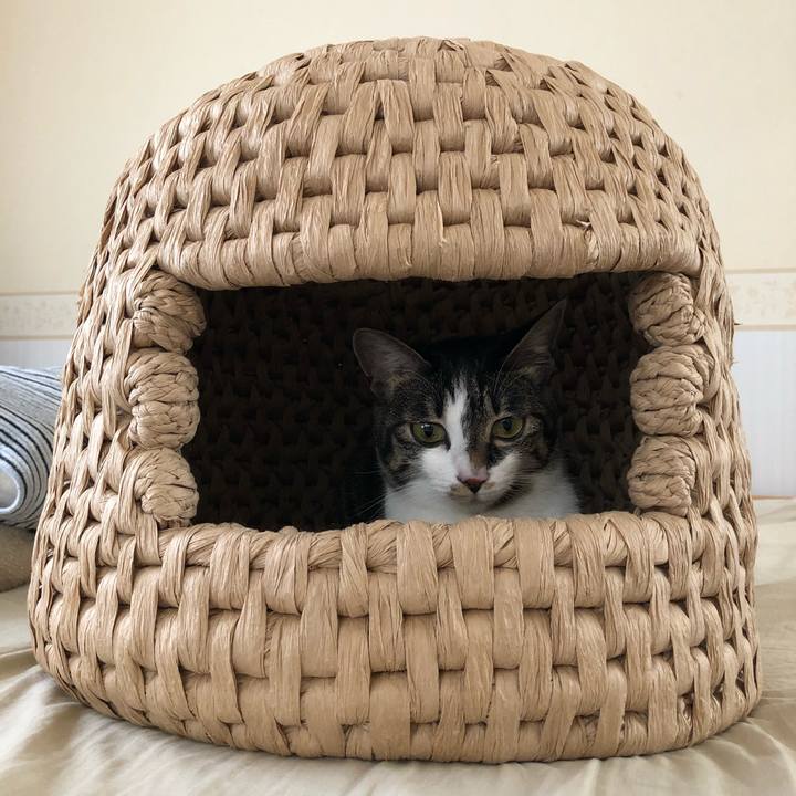 Cbc1364f 96de 428b 9cb1 5a66692b0f5d 1527316672360