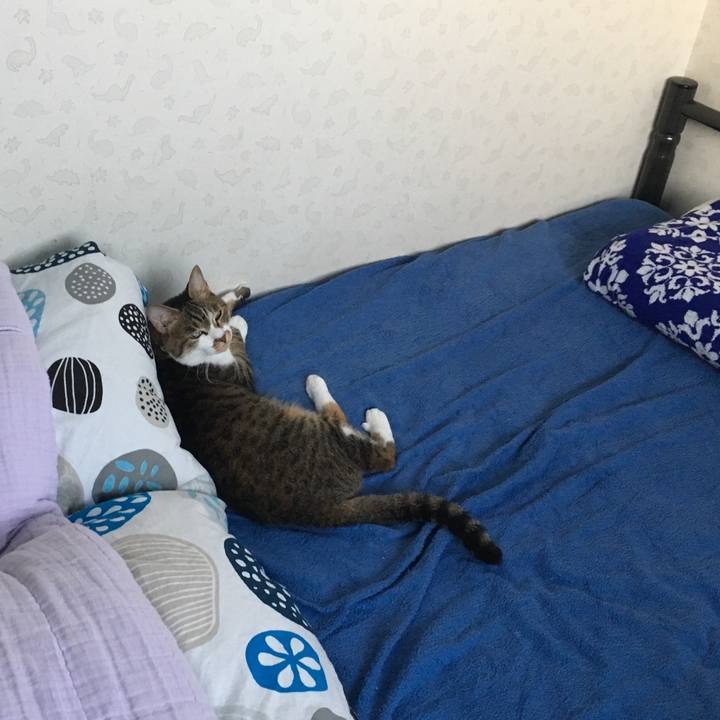 Cbc13b69 f3a5 475c 99c5 0faf45ac1795 1533676133268