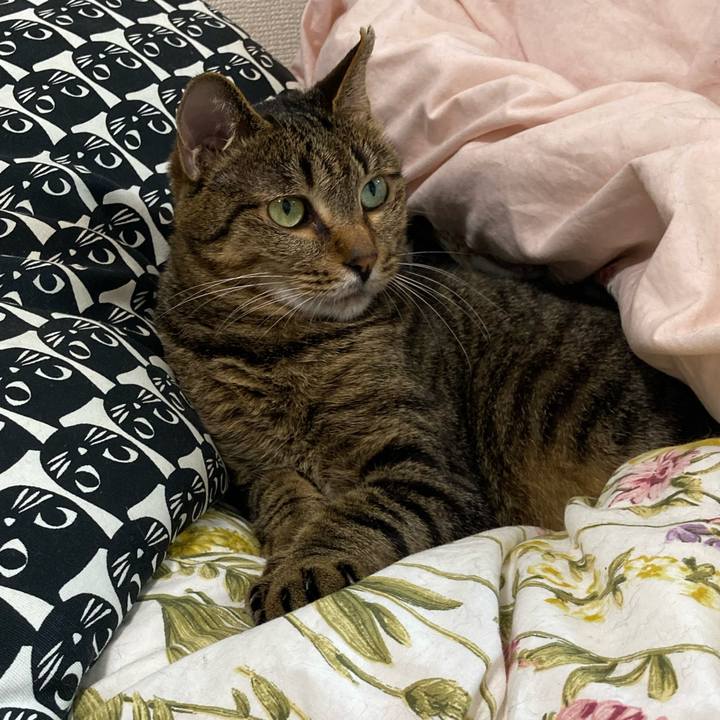 Cbc16a58 4f76 49c7 97b2 4ddf5e0e6d5d 1624861846722