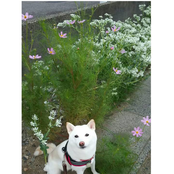 Cbc19ed9 5661 4c93 ad98 b6f7725550e1 1536743815004