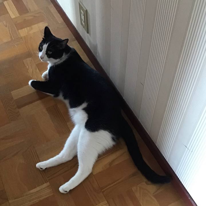 Cbc1b0d7 1bed 4eac 9797 89012b425af8 1659505118572