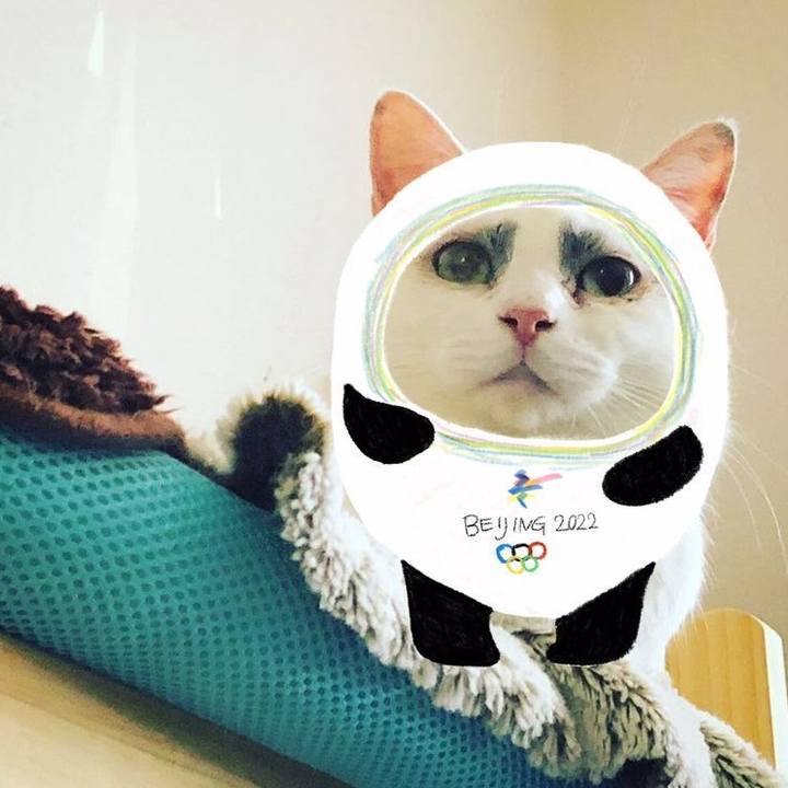 Cbc1c3d6 4fc3 45e8 9886 2e7feffa26c5 1645427312269