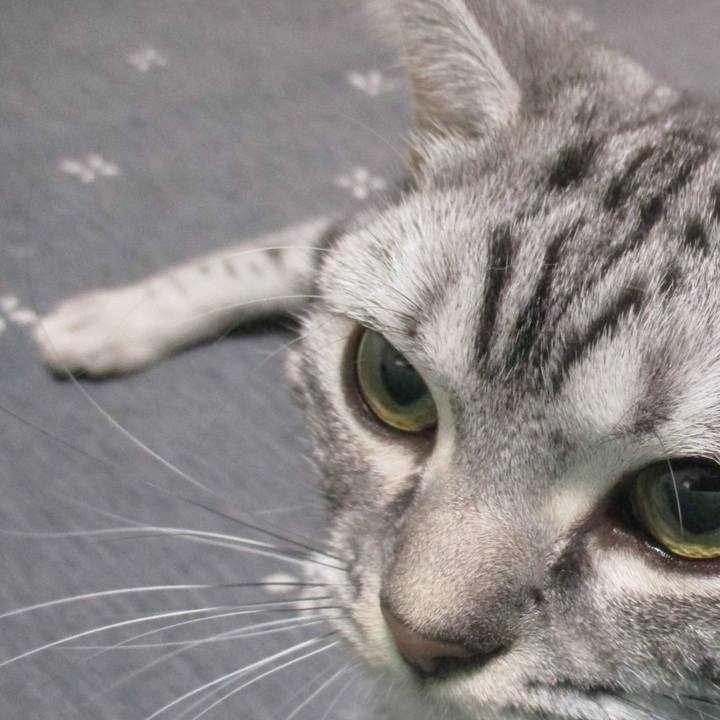 Cbc1c6a6 384f 4c4f b12e 7088af9ecd29 1571478267194