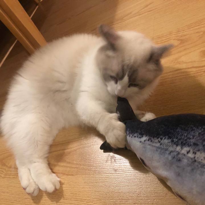 Cbc1fa47 da37 4d6a 9e18 e5d4d74d5d78 1566395683704